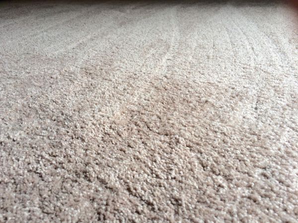 Plush Carpet Installation in Newport News