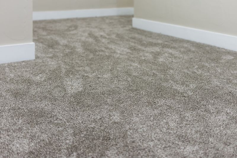 Routine Carpet Cleaning